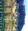 Banda ml., Chlouba, Banda st., Páca, Miki, Bania, Schoř